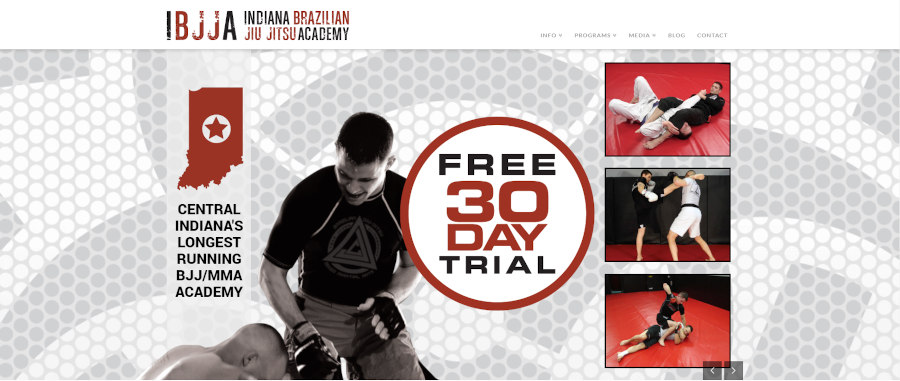 Screenshot of the IBJJA home page